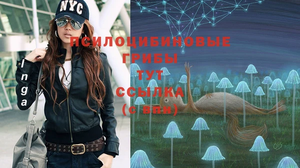 герыч Володарск