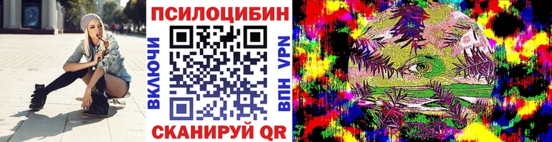 Псилоцибиновые грибы мицелий  гидра как зайти  Кизилюрт 